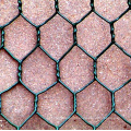 Wire mesh 22 gauge 1" hex how much chicken mesh